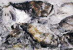 水揚げされた深海魚「ミズガンコ」＝１１月、魚津市