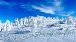 秋田県北秋田市にある森吉山阿仁スキー場の樹氷＝１月（同スキー場提供）