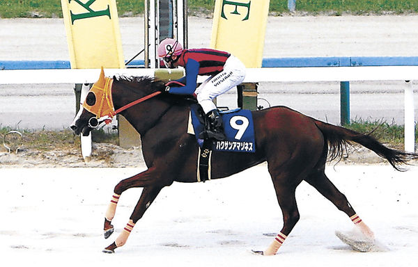 北國王冠で優勝したハクサンアマゾネス＝昨年７月、金沢競馬場